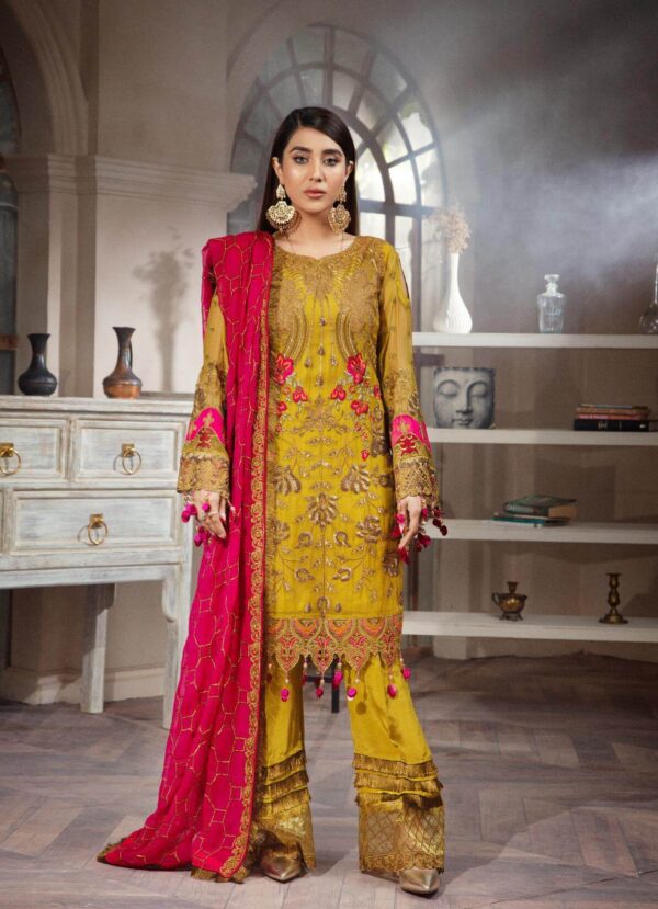 Chiffon Suit (A-01-3d)