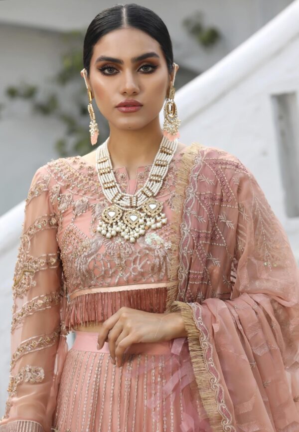 Pakistani-designer-dresses