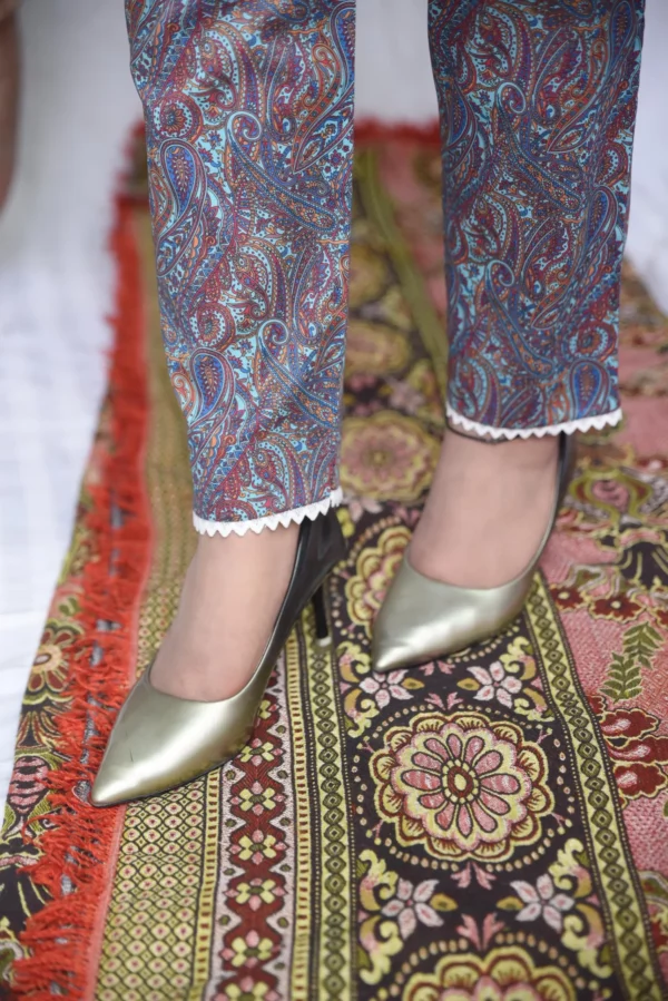 Two Piece Stitched Lawn (DS05BGR) - Image 9