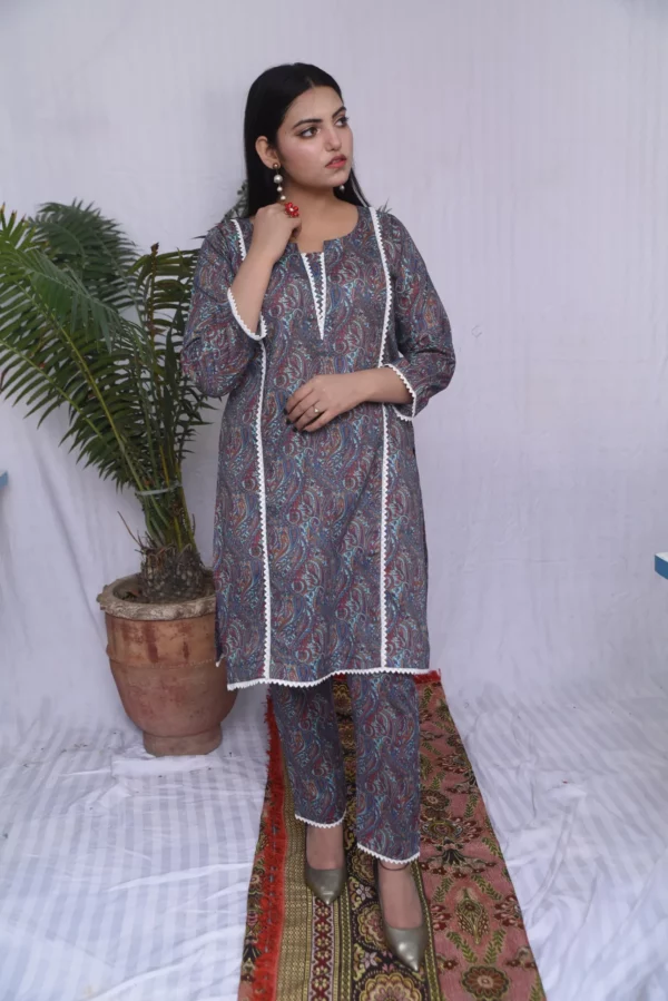 Two Piece Stitched Lawn (DS05BGR) - Image 6