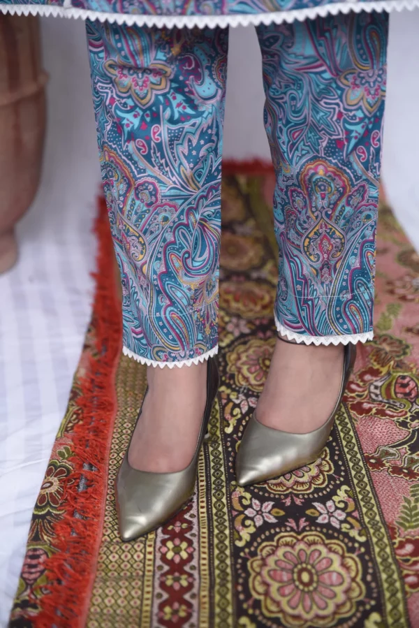 Two Piece Stitched Lawn (DS05BGR) - Image 3